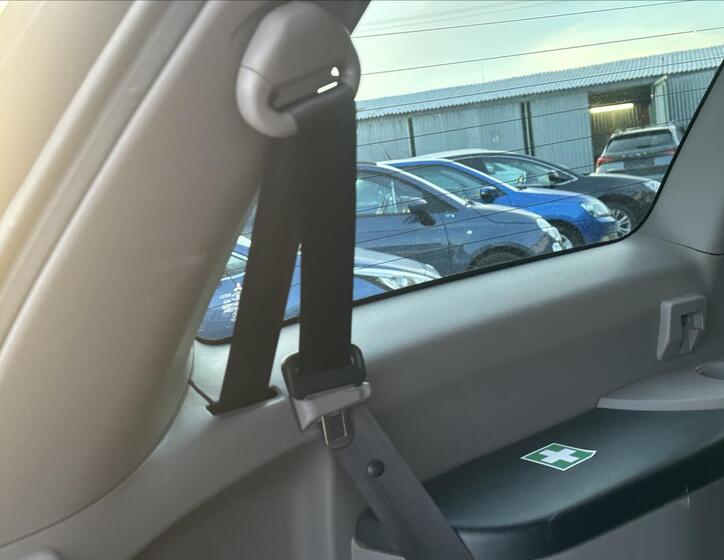 Mitsubishi Grandis 24