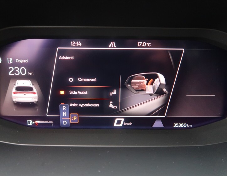 Cupra Formentor 29