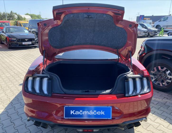 Ford Mustang 11