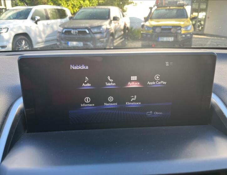 Lexus NX 300h 19
