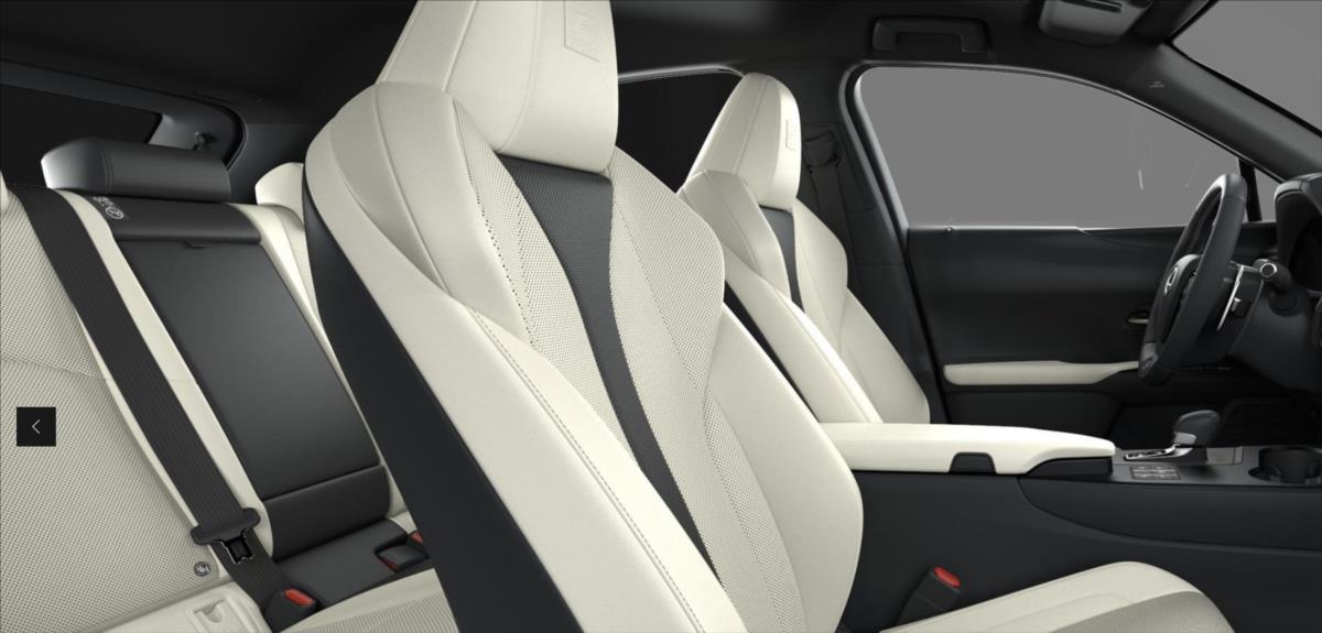 Lexus UX 300h