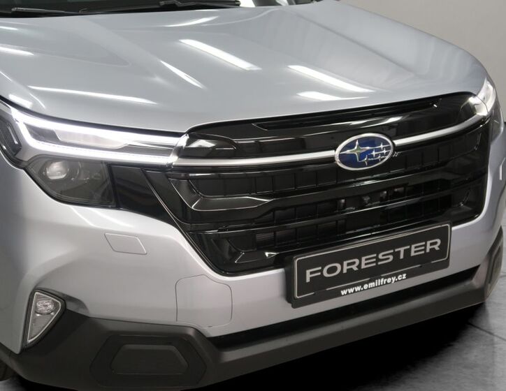 Subaru Forester 29