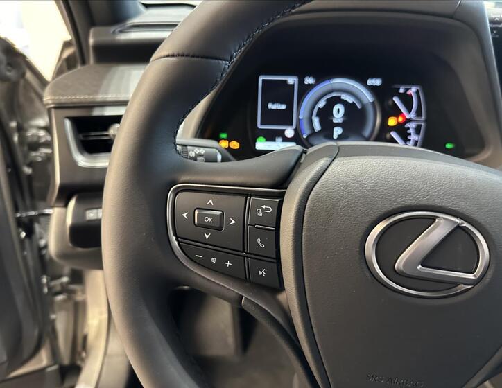 Lexus UX 250h 12