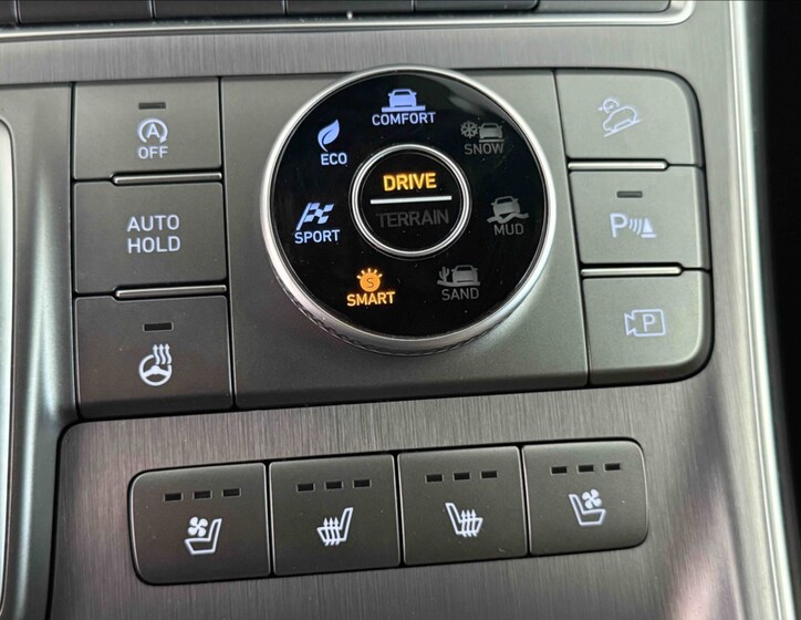 Hyundai Santa Fe 17