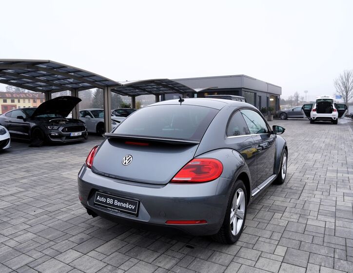 Volkswagen Beetle 6