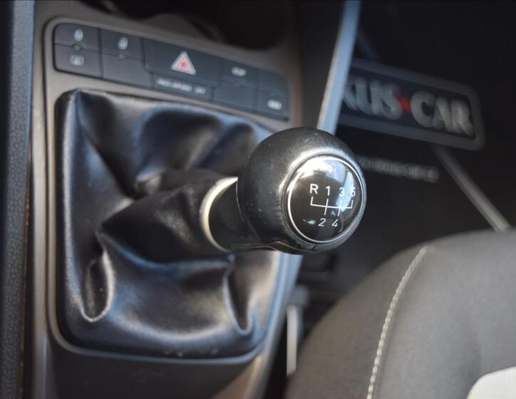 Seat Ibiza 45