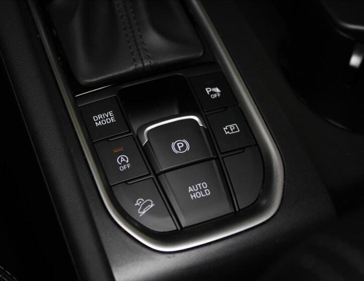 Hyundai Santa Fe 16