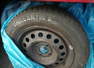 Renault Thalia 15