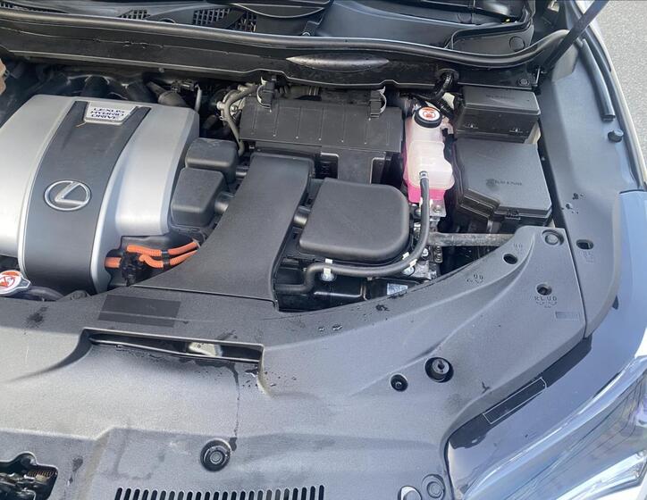 Lexus RX 15