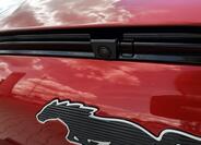 Ford Mustang Mach-E 49