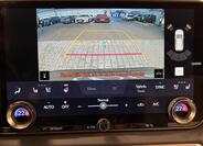 Lexus RX 450h plus 19