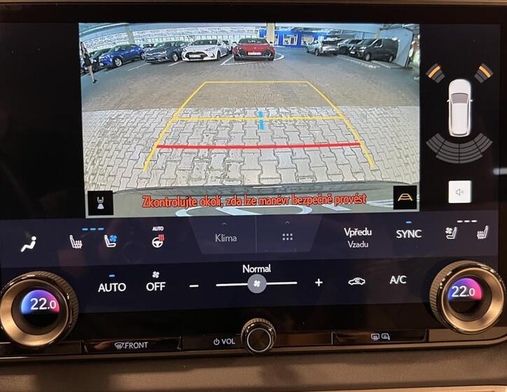 Lexus RX 450h plus 19