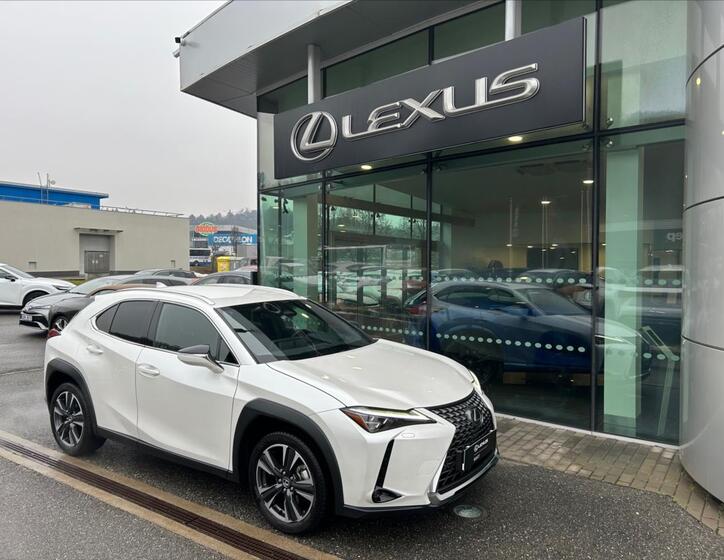 Lexus UX 300h 6