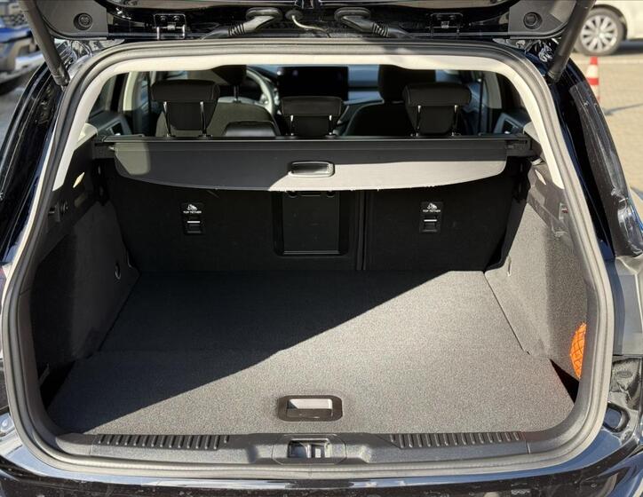 Ford Focus 13