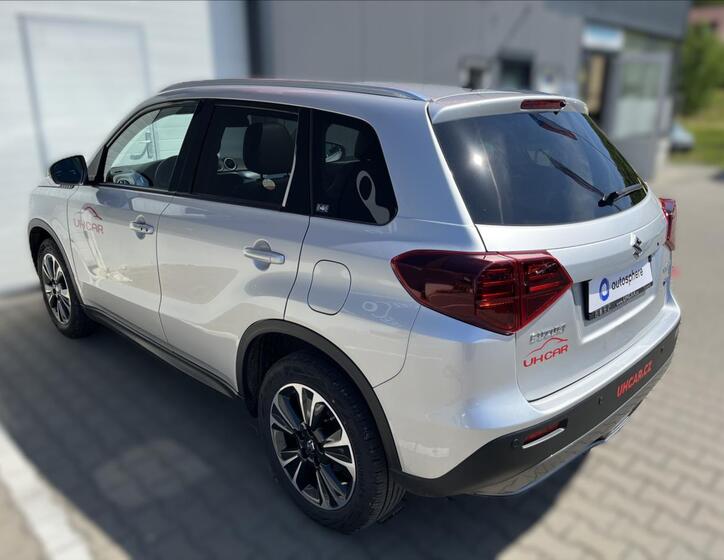Suzuki Vitara 10