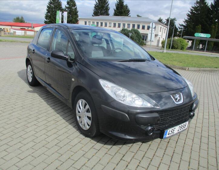 Peugeot 307 6