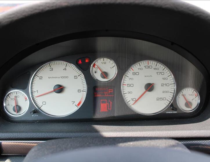 Peugeot 407 19