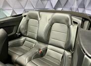 Ford Mustang 13