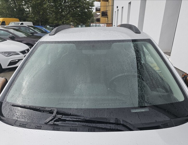 Dacia Spring 39