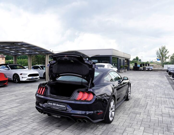Ford Mustang 12