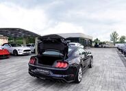 Ford Mustang 12
