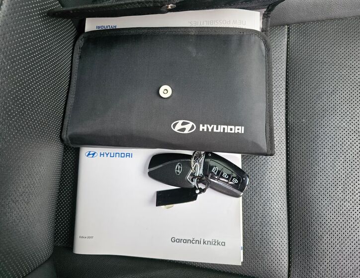 Hyundai Santa Fe 33