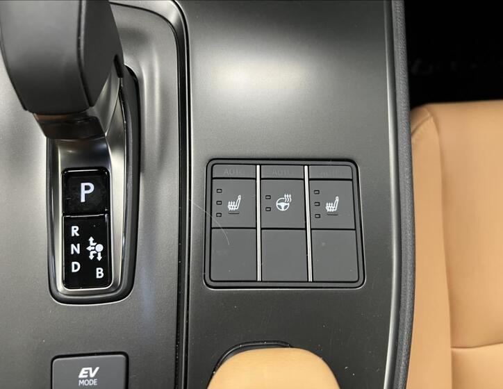 Lexus UX 300h 15