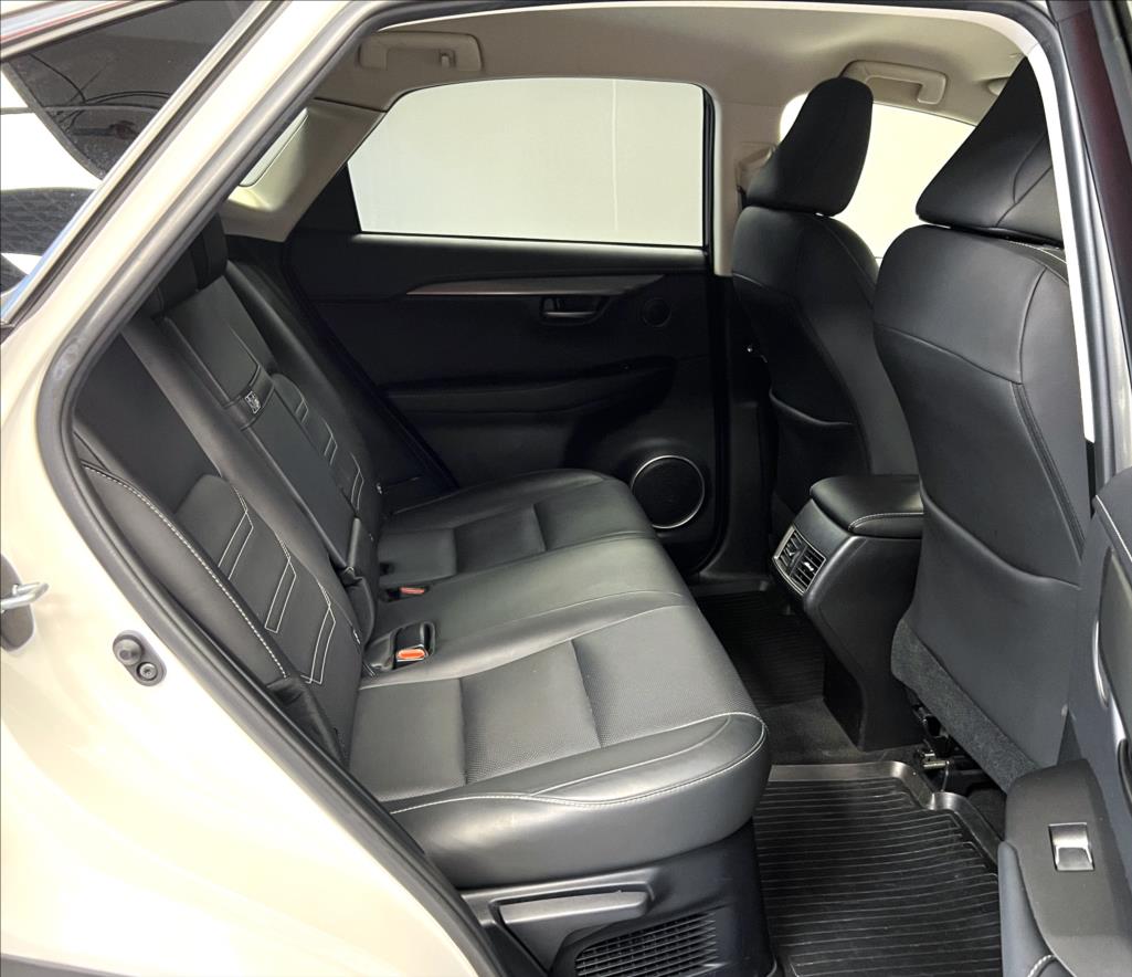 Lexus NX 300h