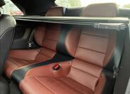 Ford Mustang 11