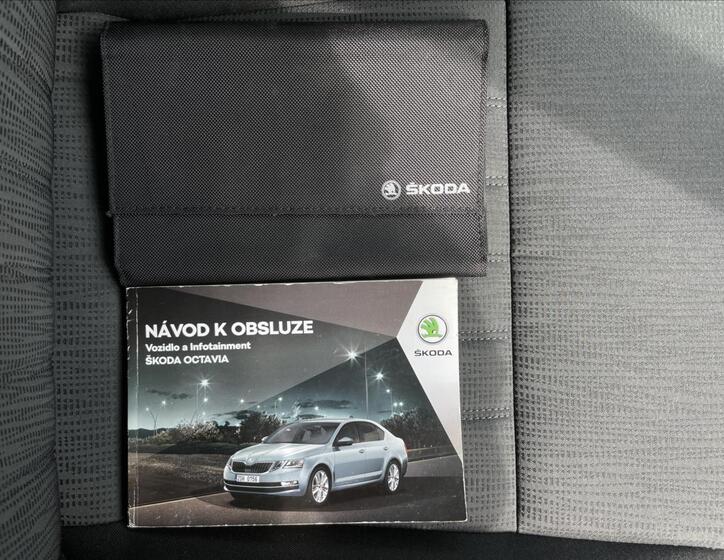 Škoda Octavia 19