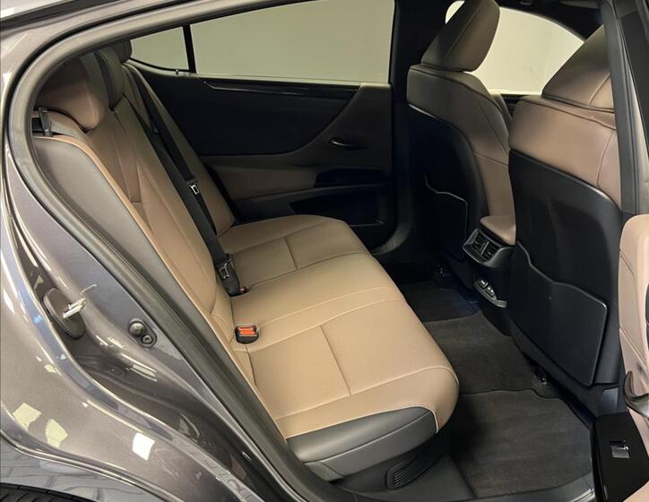 Lexus ES 300h 9