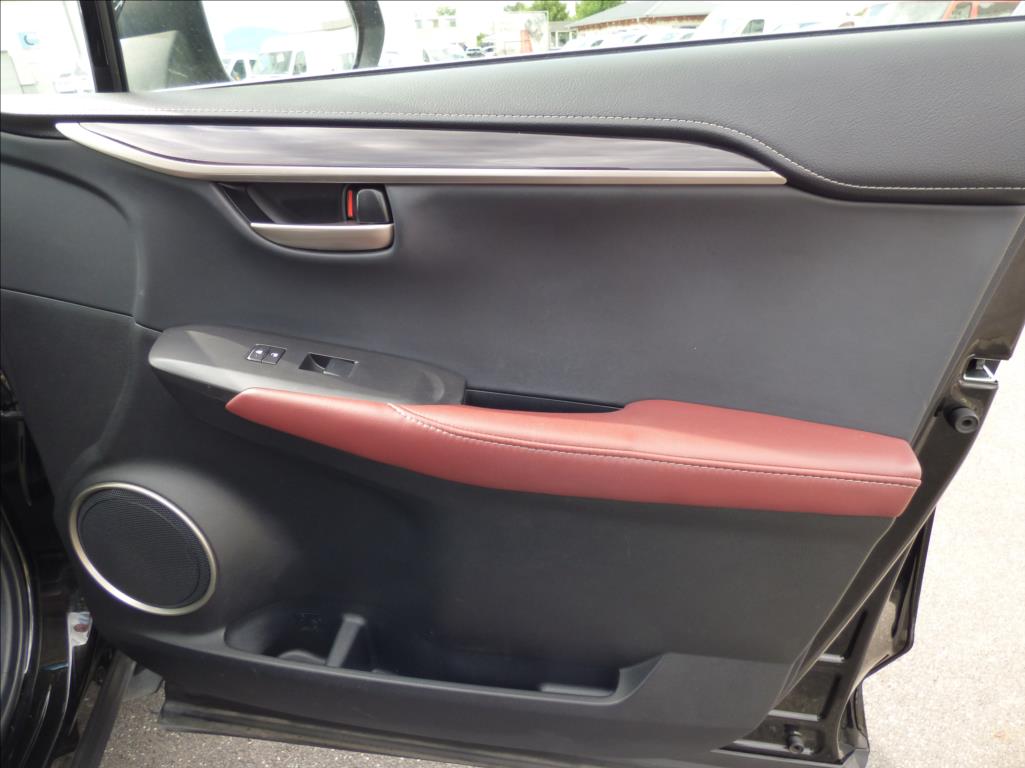 Lexus NX 300h