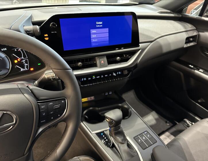 Lexus UX 250h 14