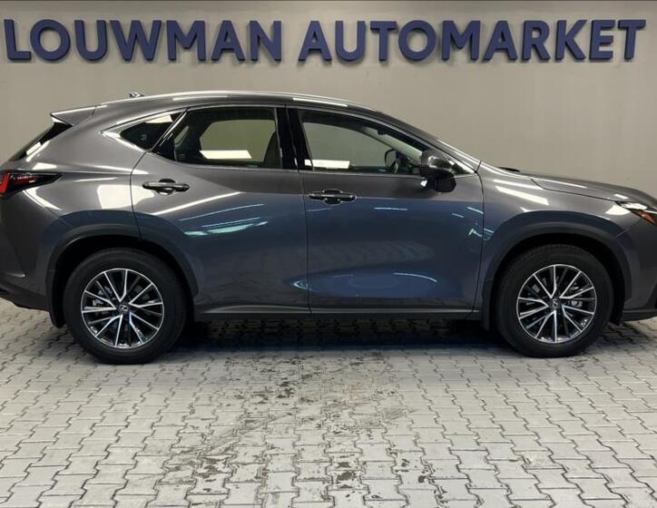 Lexus NX 350h 14