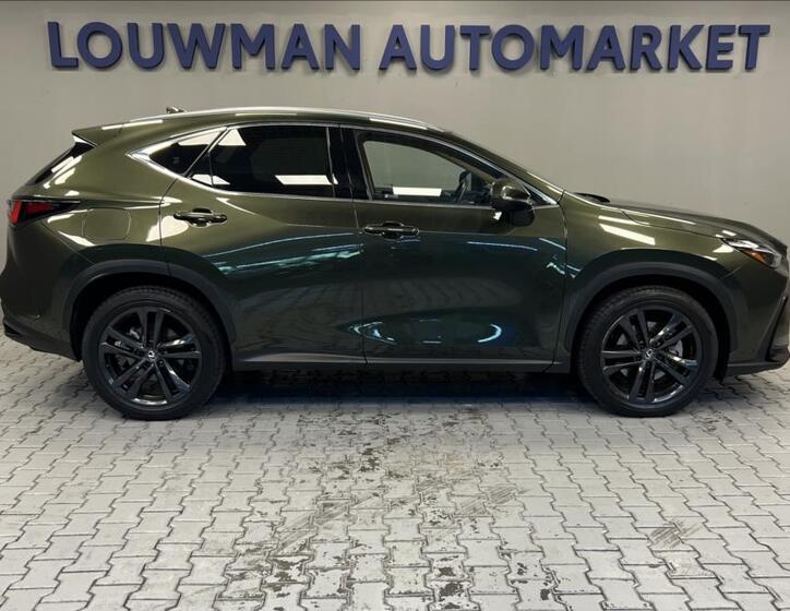 Lexus NX 450h plus 14