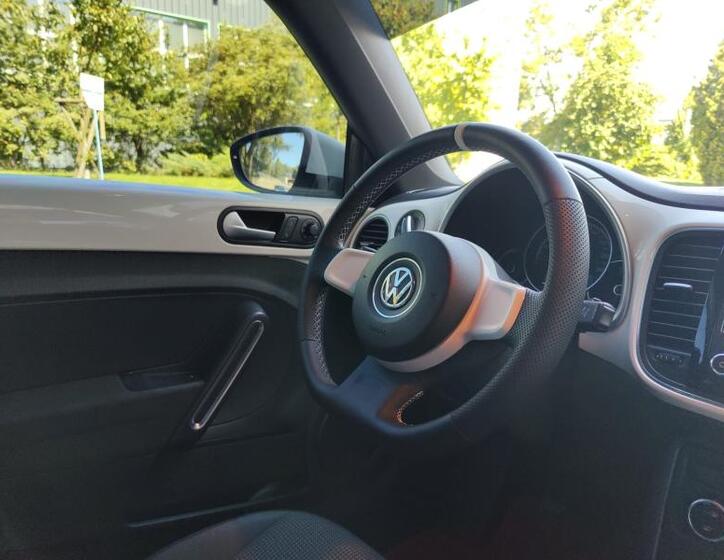 Volkswagen Beetle 19