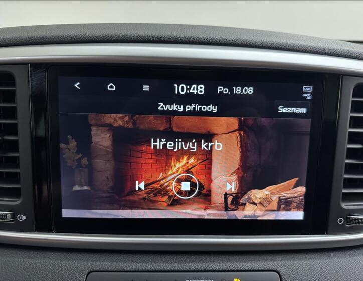 KIA Sportage 19
