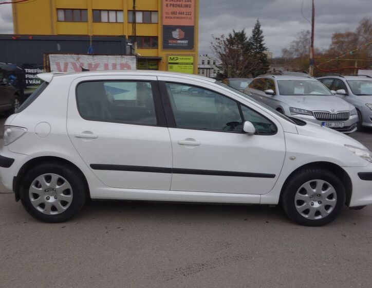 Peugeot 307 6