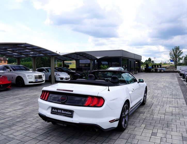 Ford Mustang 13