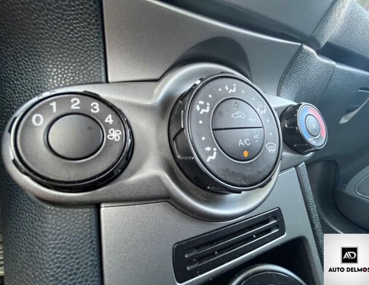Ford Fiesta 43