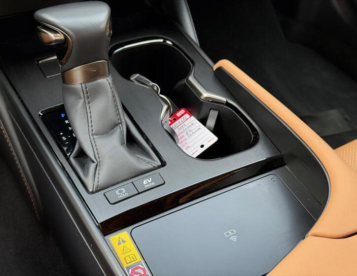 Lexus ES 300h 22