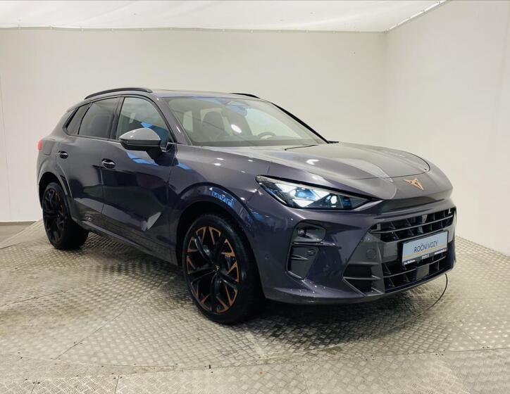 Cupra Terramar 25