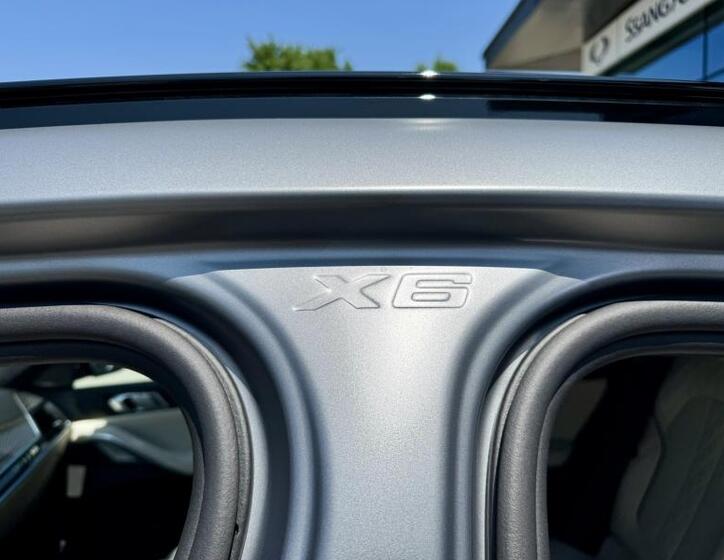BMW X6 30