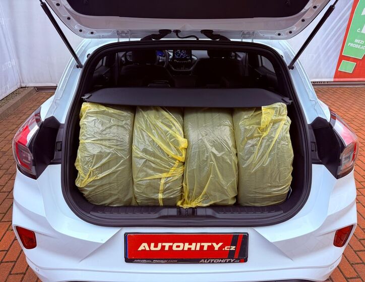Ford Puma 10