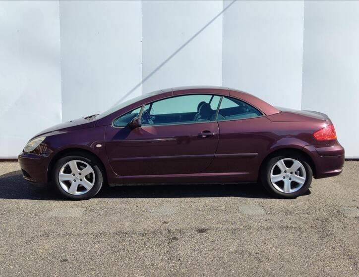 Peugeot 307 15