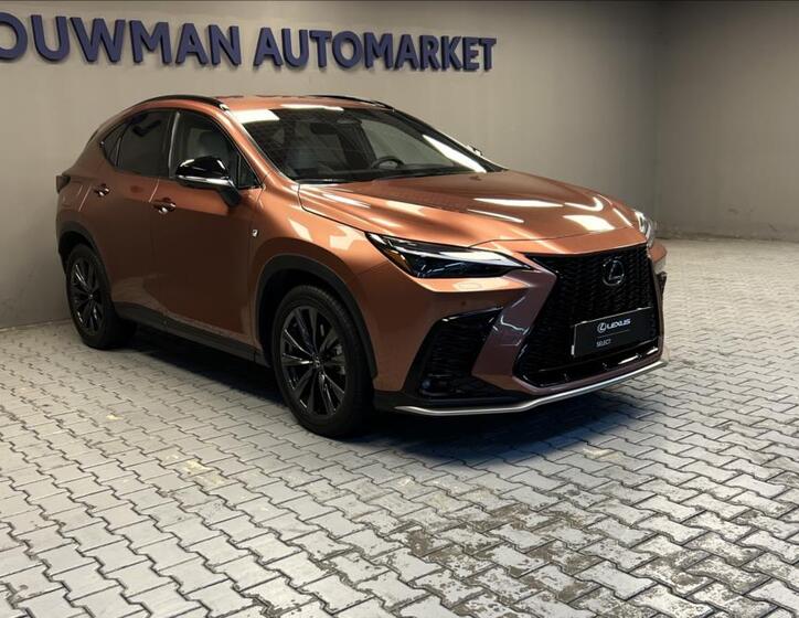 Lexus NX 450h plus 11