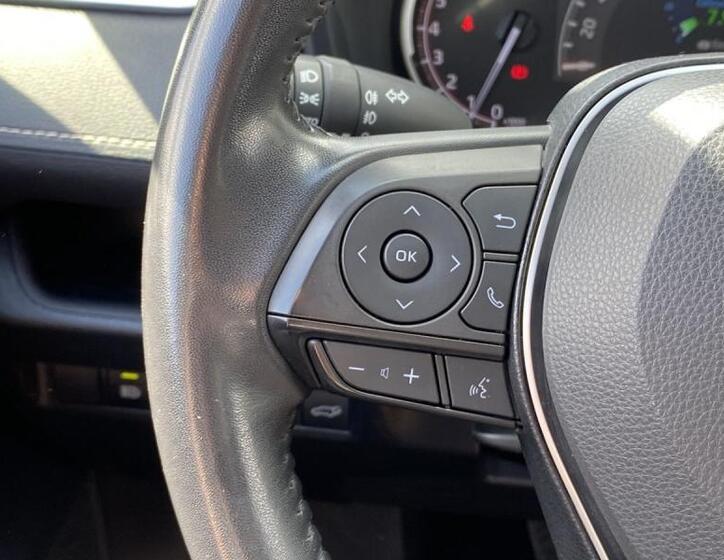 Toyota RAV4 19