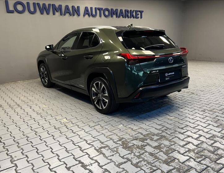 Lexus UX 250h 13