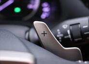 Lexus NX 300h 20