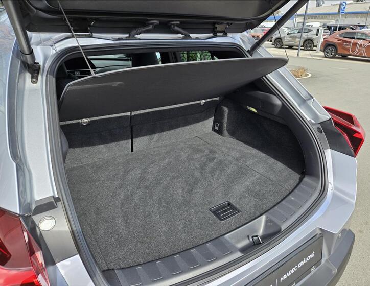 Lexus UX 250h 12
